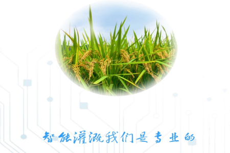 云水app 云水app