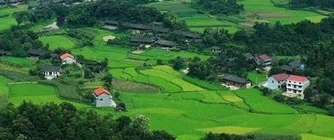 问野app 问野app