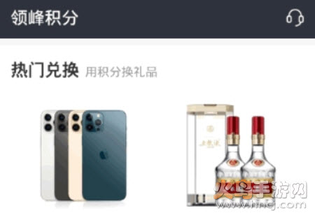 领峰会员积分app 领峰会员积分app