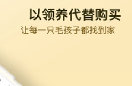 小萌猫app