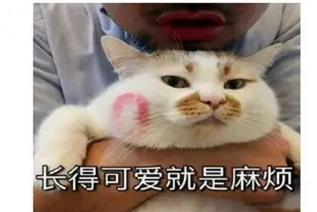 表情动图制作app 表情动图制作app