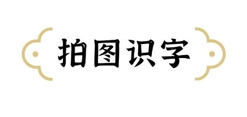 拍图秒识字app 拍图秒识字app