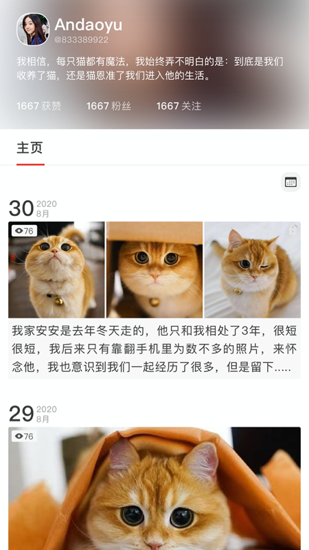 宠年年app v1.0 官方版