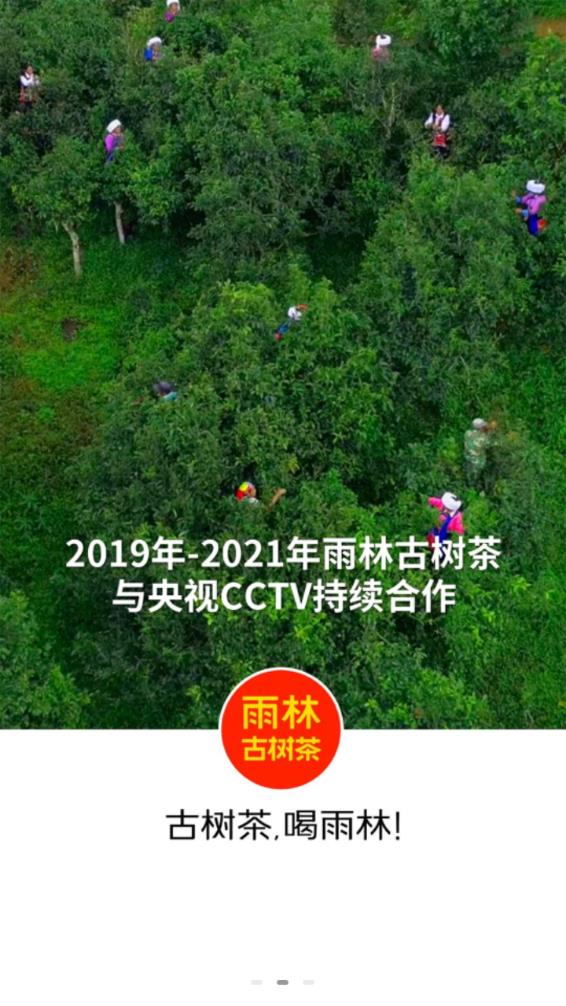 雨林易购app v5.0.980 官方版