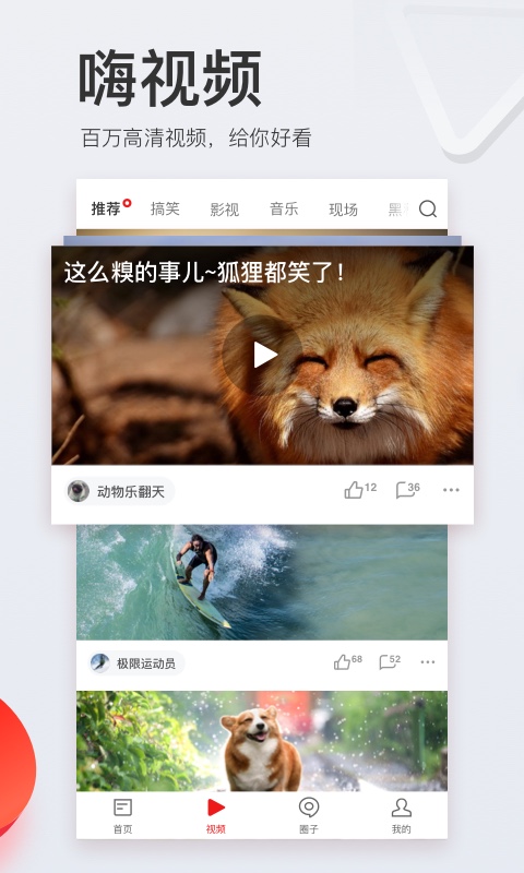 网易新闻hd版 v5.2 安卓版