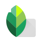Snapseed app v2.19.1.303051424 安卓版 Snapseed app v2.19.1.303051424 安卓版