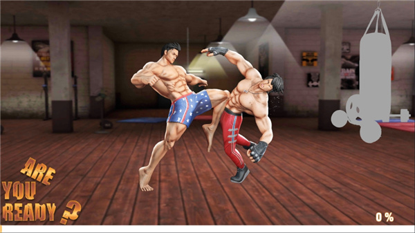GYM格斗游戏 GYM格斗游戏