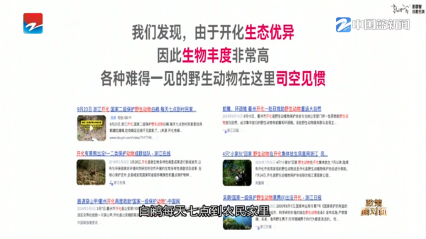IPv6高级版电视直播 IPv6高级版电视直播