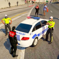 土耳其警察模拟器 v0.0.1 安卓版 土耳其警察模拟器 v0.0.1 安卓版