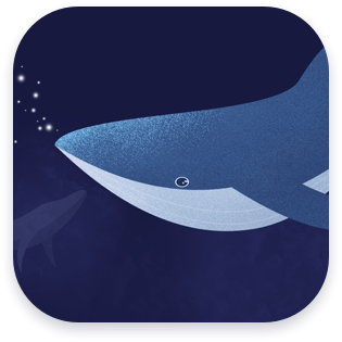 鲸遇app v2.0.5 安卓版 鲸遇app v2.0.5 安卓版