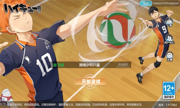 排球少年飞吧乌野高中 v1.0 安卓版