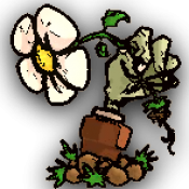 植物大战僵尸sIs版 v1.3.2 安卓版 植物大战僵尸sIs版 v1.3.2 安卓版