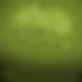 PVZ时空之旅写实版游戏 v0.0.2 安卓版 PVZ时空之旅写实版游戏 v0.0.2 安卓版