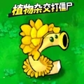 植物变异打僵尸下载安装 v1.0 安卓版 植物变异打僵尸下载安装 v1.0 安卓版