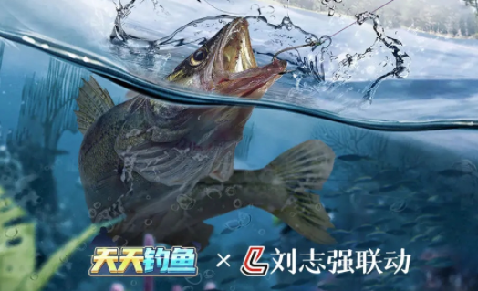 天天钓鱼下载 天天钓鱼下载