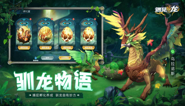 遇见龙 遇见龙