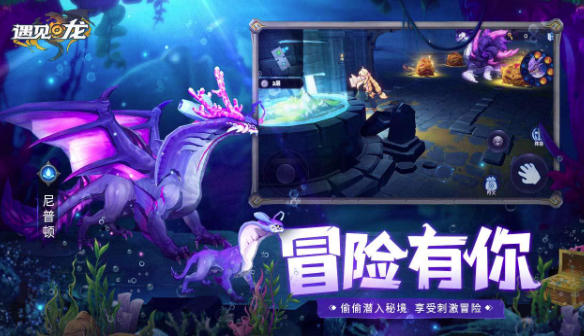 遇见龙 遇见龙