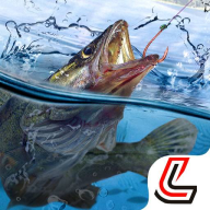 天天钓鱼下载 v1.3 最新版 天天钓鱼下载 v1.3 最新版