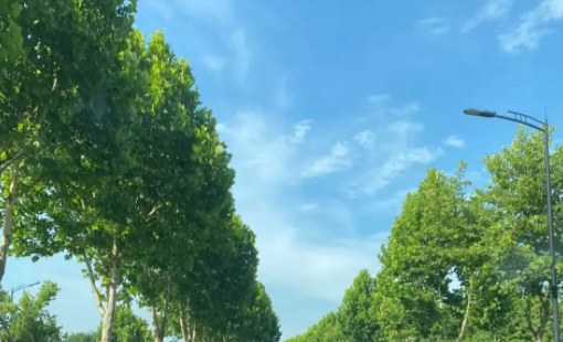 浩想3D动态壁纸app下载免费版 浩想3D动态壁纸app下载免费版