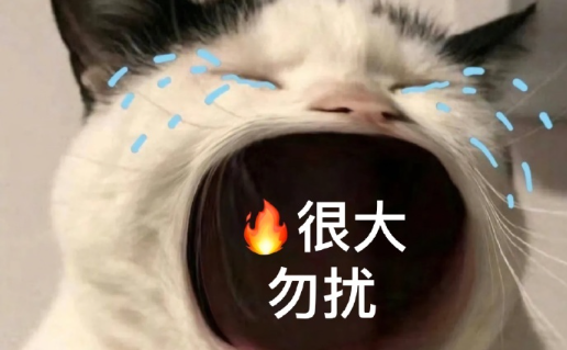 暴走P图神器最新版本下载 暴走P图神器最新版本下载