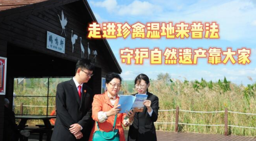 天平阳光app官方下载 天平阳光app官方下载