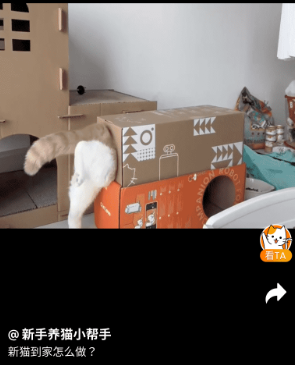 HHOLOVE智能猫窝官方app下载 HHOLOVE智能猫窝官方app下载