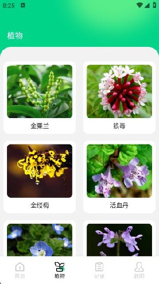 花朵物语识别app下载 花朵物语识别app下载