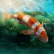 水族馆设计师游戏 v1.0.0 最新版 水族馆设计师游戏 v1.0.0 最新版