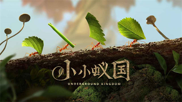 小小蚁国游戏官方 v3.0.60 最新版