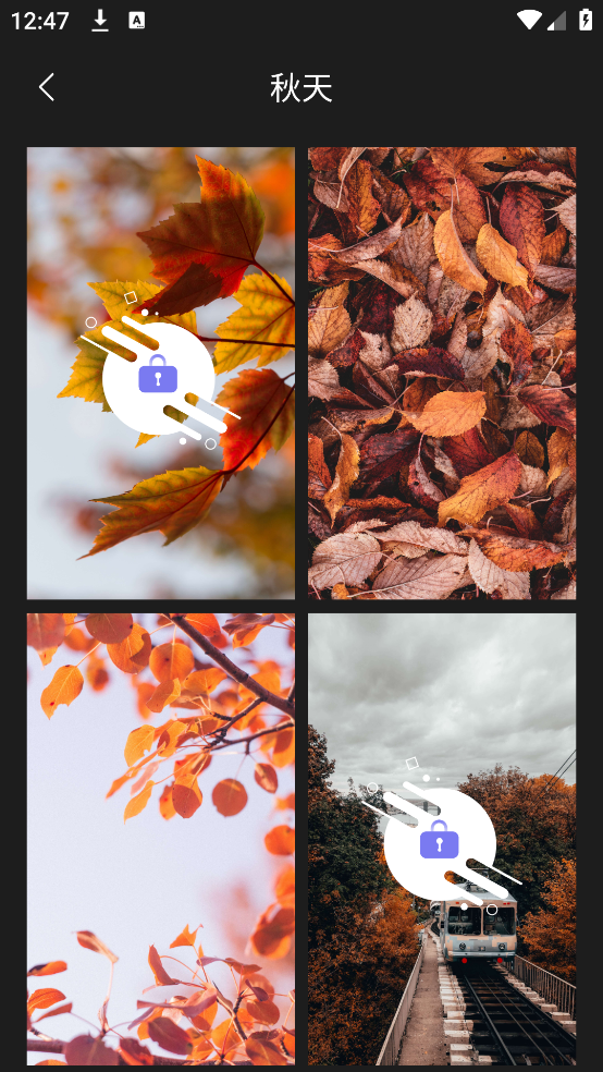 我的桌面壁纸app v2.0 手机版