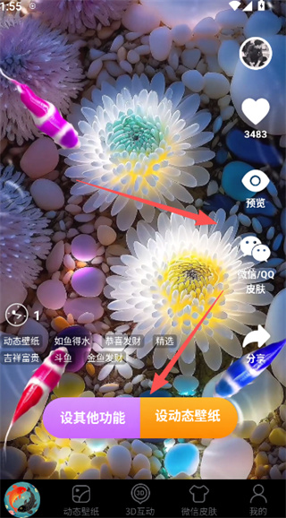锦鲤金鱼壁纸正式版本下载 锦鲤金鱼壁纸正式版本下载