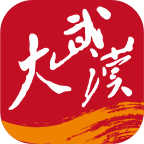 大武汉app v7.7.10 最新版