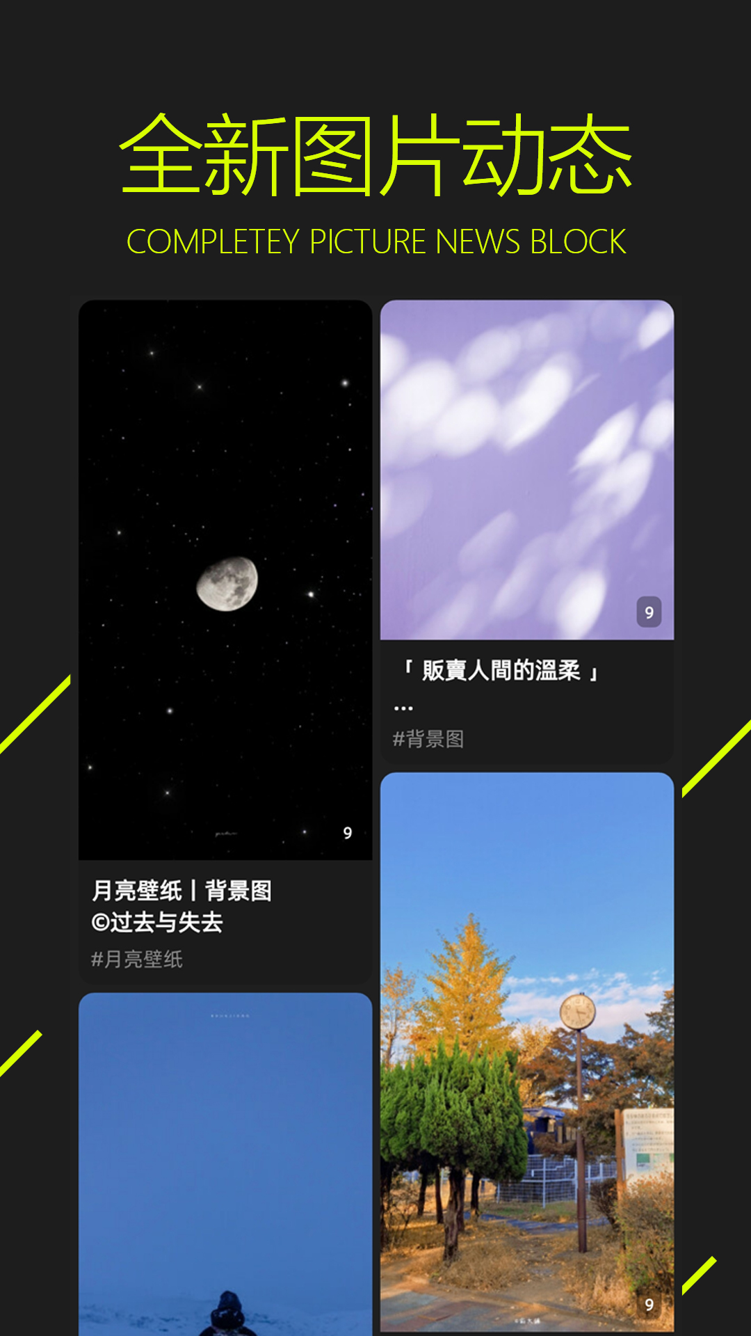 图凌壁纸app官方下载 v5.0.4.3 最新版