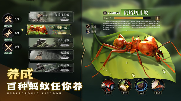 小小蚁国vivo客户端下载 v3.0.60 官方版