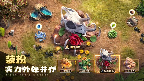 小小蚁国vivo客户端下载 v3.0.60 官方版