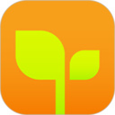 亲宝宝app正版下载 v11.12.8 安卓版