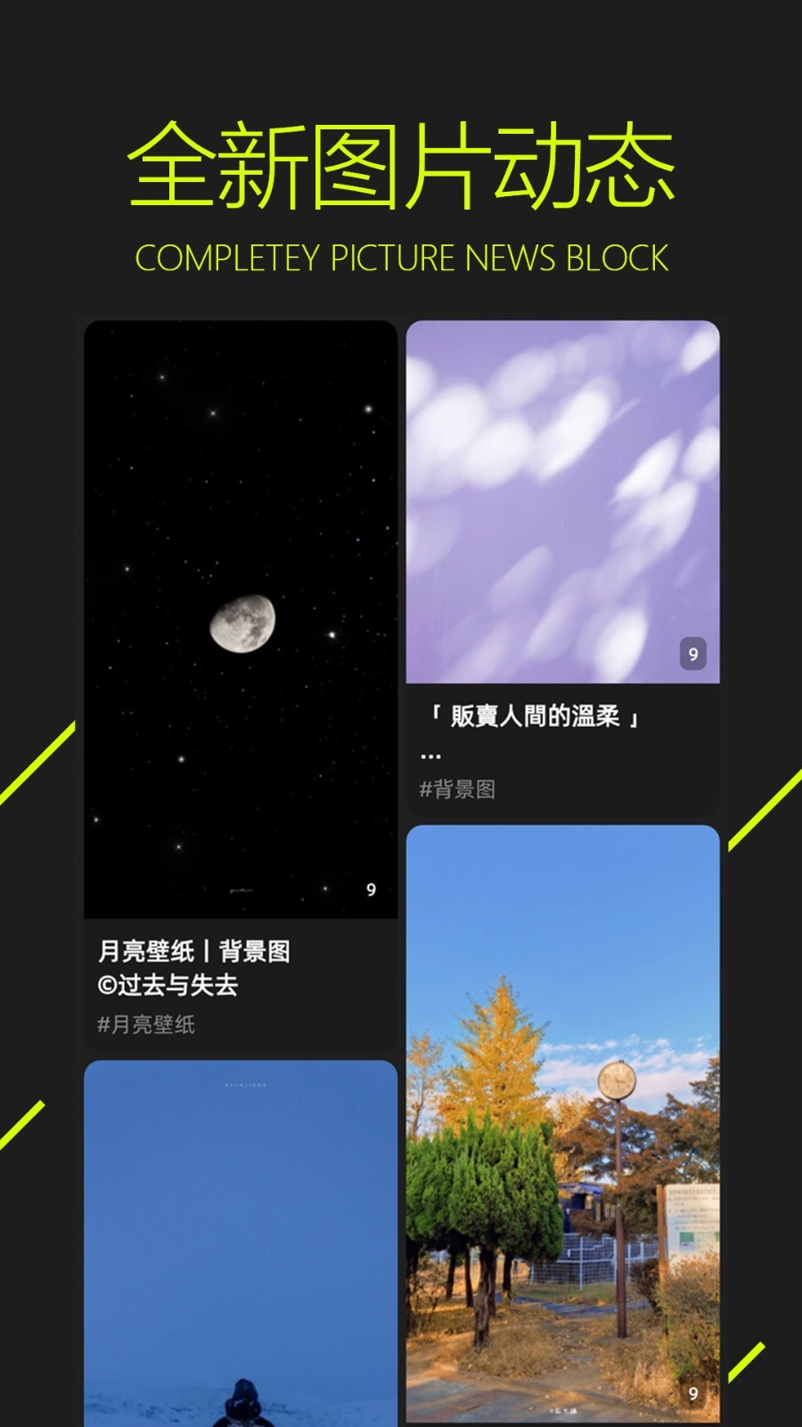 图凌壁纸app免费下载 v5.0.4.3 安卓版