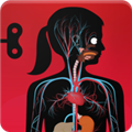人体探秘手游下载 v3.6.7 人体探秘手游下载 v3.6.7
