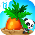 宝宝爱水果蔬菜安卓版 v9.87.00.01