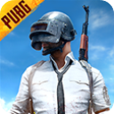 pubg体验服下载安装官方正版(BETA PUBG MOBILE) v4.0.4 安卓版