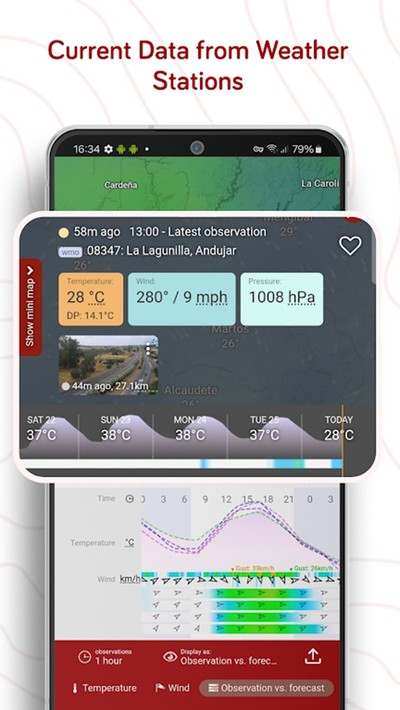 windy中文版下载 v17