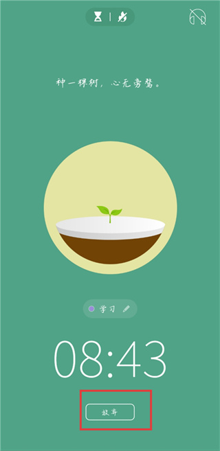 Forest软件下载