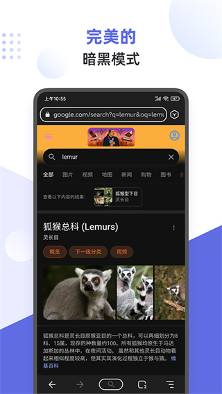 狐猴浏览器app官方下载2026最新版 v2.7.3.021 安卓版
