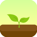 Forest软件下载 v5.20.2 安卓版 Forest软件下载 v5.20.2 安卓版