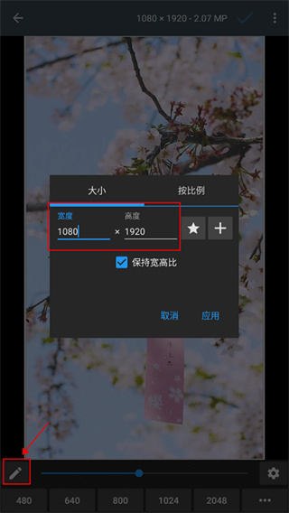 照片编辑器最新版