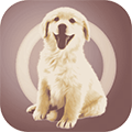 人狗交流器app手机版 v2.1.0 人狗交流器app手机版 v2.1.0