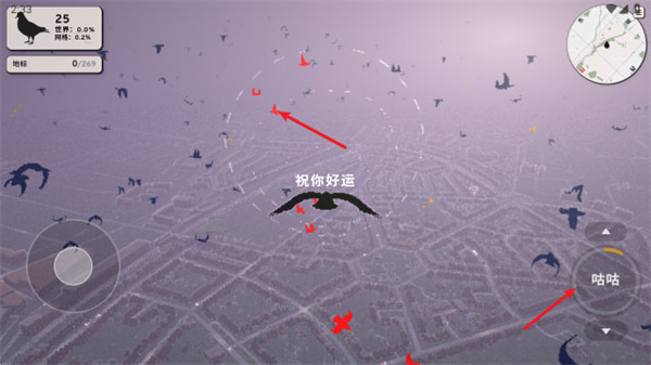 鸽子一段爱情故事 鸽子一段爱情故事