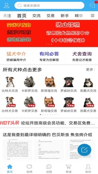 猛犬俱乐部安卓手机版 v6.3.8