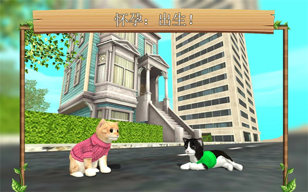 猫咪生存模拟器无限资源下载 v223 安卓版