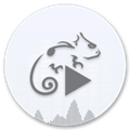 StellioPlayerPro直装安卓专业版 v6.9.4